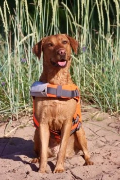 Active Canis Koiran Kelluntaliivi, XS-S -Hurtta myymälä active canis life jacket xs s 1