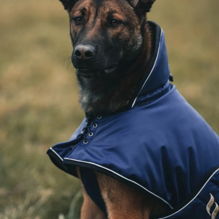 Back On Track Sunny Koiran Takki, Sininen 40-50 Cm 5 Back On Track Sunny Koiran Takki, Sininen 40-50 Cm - Image 3