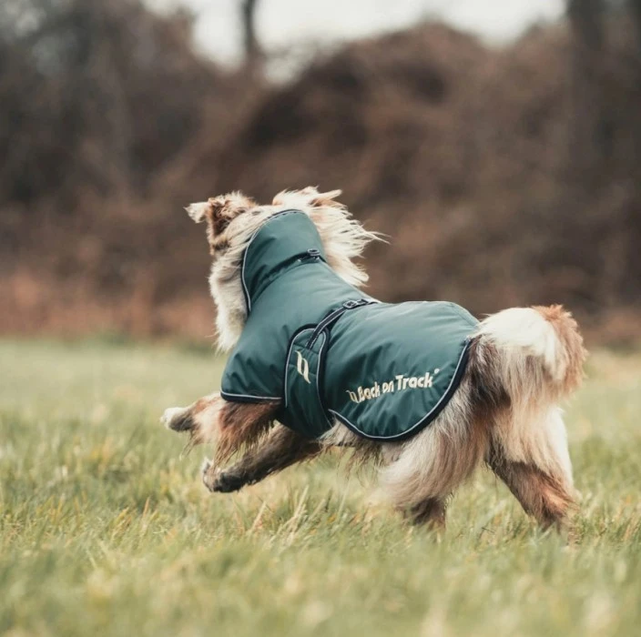 Back On Track Sunny Koiran Takki, Back On Track Sunny Koiran Takki, Vihreä 55-65 Cm 4 Back On Track Sunny Koiran Takki, Back On Track Sunny Koiran Takki, Vihreä 55-65 Cm - Image 2