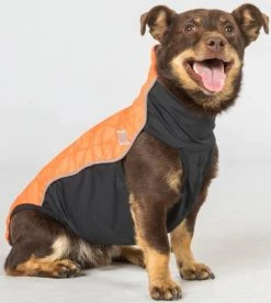 Back On Track Eddie Koiran Fleecepaita, Oranssi 40 Cm -Hurtta myymälä back on track hundtroja eddie smahundar orange 40 cm 1 2