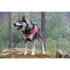 BRAVA Rokka Reflective Vest Heijastinliivi -Hurtta myymälä brava rokka reflective vest 1