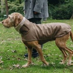 Cloud7 Brooklyn Dog Coat Koiran Takki, Flannel Hazel, 4–5 10 Cloud7 Brooklyn Dog Coat Koiran Takki, Flannel Hazel, 4–5 -Hurtta myymälä cloud7 brooklyn dog coat flannel hazel strl 4 5 3