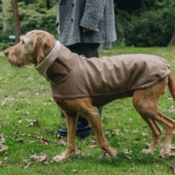 Cloud7 Brooklyn Dog Coat Koiran Takki, Flannel Hazel, 6–10 4 Cloud7 Brooklyn Dog Coat Koiran Takki, Flannel Hazel, 6–10 - Image 2