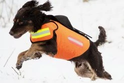 Dogtech GPS Signal Red -Hurtta myymälä dogtech gps signal red 2