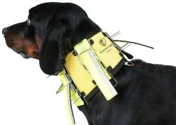 Dogtech Neck