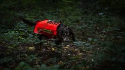 Dogtech ONE Modular Vest Red -Hurtta myymälä dogtech one modular vest red 1 4