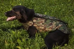 Dogtech Retriever Neopreeniliivi, Camo 7 Dogtech Retriever Neopreeniliivi, Camo -Hurtta myymälä dogtech retriever camo 2