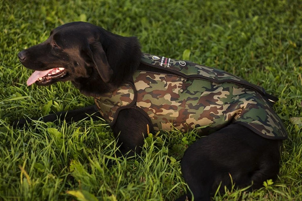 Dogtech Retriever Neopreeniliivi, Camo 5 Dogtech Retriever Neopreeniliivi, Camo - Image 3