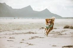 Hurtta Cooling Wrap Koiran Viilennysliivit, 40–50 Cm, Aquamarine -Hurtta myymälä hurtta cooling wrap 40 50 aquamarine 5