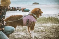 Hurtta Cooling Wrap Koiran Viilennysliivit, 40–50 Cm, Vaaleanpunainen -Hurtta myymälä hurtta cooling wrap 40 50 carnation pink 3