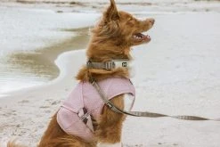 Edessä -Hurtta myymälä hurtta cooling wrap 65 75 carnation pink 1