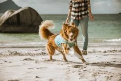 Hurtta Cooling Wrap Koiran Viilennysliivit, 85–95 Cm, Vaaleansininen -Hurtta myymälä hurtta cooling wrap 85 95 aquamarine 3