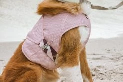 Hurtta Cooling Wrap Koiran Viilennysliivit, 85–95 Cm, Vaaleanpunainen -Hurtta myymälä hurtta cooling wrap 85 95 carnation pink 2