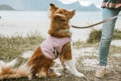 Hurtta Cooling Wrap Koiran Viilennysliivit, 85–95 Cm, Vaaleanpunainen -Hurtta myymälä hurtta cooling wrap 85 95 carnation pink 4