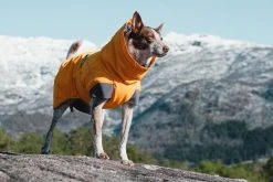 Hurtta Expedition Parka, 50 Cm, Oranssi 10 Hurtta Expedition Parka, 50 Cm, Oranssi -Hurtta myymälä hurtta expedition parka buckthorn 50 cm 10
