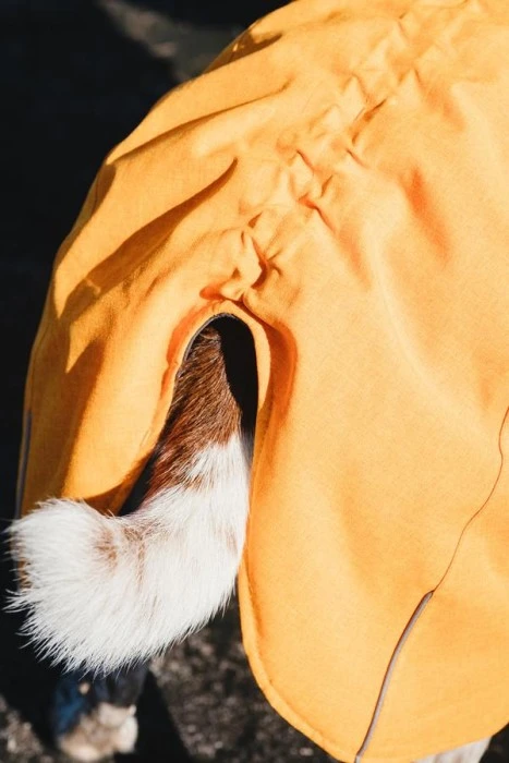 Hurtta Expedition Parka, 55 Cm, Oranssi 5 Hurtta Expedition Parka, 55 Cm, Oranssi - Image 3