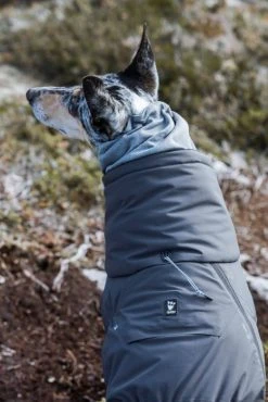 Hurtta Extreme Overall Blackberry 30-45M Cm 9 Hurtta Extreme Overall Blackberry 30-45M Cm -Hurtta myymälä hurtta extreme overall blackberry 30 45m cm 3