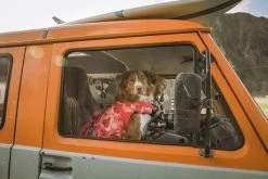 Hurtta Life Savior ECO 0-5 Kg Koiran Pelastusliivit, Coral Camo -Hurtta myymälä hurtta life savior eco 0 5 kg coral camo 6