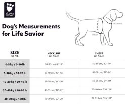 Hurtta Life Savior ECO Pelastusliivi, 5-10 Kg, Oranssi 13 Hurtta Life Savior ECO Pelastusliivi, 5-10 Kg, Oranssi -Hurtta myymälä hurtta life savior eco buckthorn 5 10 kg 1