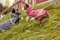 Hurtta Razzle Dazzle Midlayer Koiran Takki, 45-65 Cm, Pinkki -Hurtta myymälä hurtta razzle dazzle midlayer beetroot 45 65 cm 2