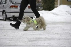 Kivalo Kaamos Dog Reflective Vest Heijastinliivi Koirille, S, Keltainen -Hurtta myymälä kivalo kaamos dog reflective vest yellow s 1 2