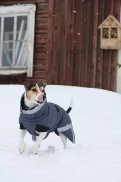 Kivalo Luosto Dog Winter Jacket Koiran Talvitakki, 35 Cm, Harmaa 13 Kivalo Luosto Dog Winter Jacket Koiran Talvitakki, 35 Cm, Harmaa -Hurtta myymälä kivalo luosto dog winter jacket coil 35 cm 1 4