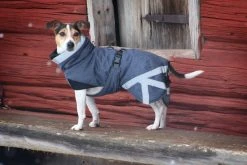 Kivalo Luosto Dog Winter Jacket Koiran Talvitakki, 35 Cm, Harmaa 14 Kivalo Luosto Dog Winter Jacket Koiran Talvitakki, 35 Cm, Harmaa -Hurtta myymälä kivalo luosto dog winter jacket coil 35 cm 1 5