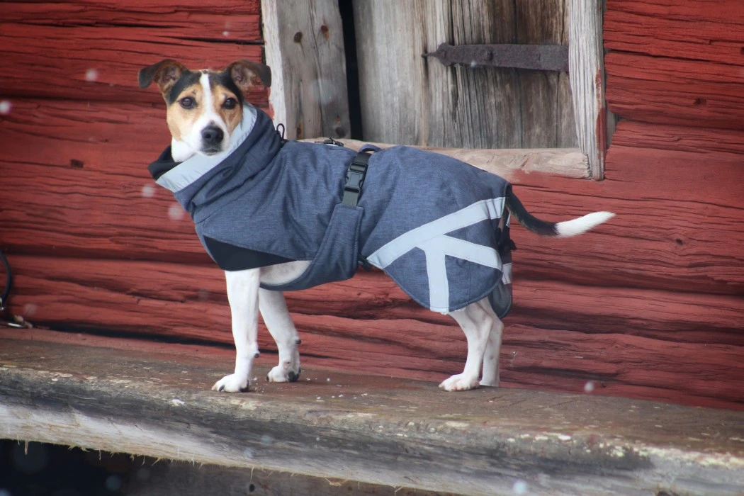Kivalo Luosto Dog Winter Jacket Koiran Talvitakki, 35 Cm, Harmaa 8 Kivalo Luosto Dog Winter Jacket Koiran Talvitakki, 35 Cm, Harmaa - Image 6
