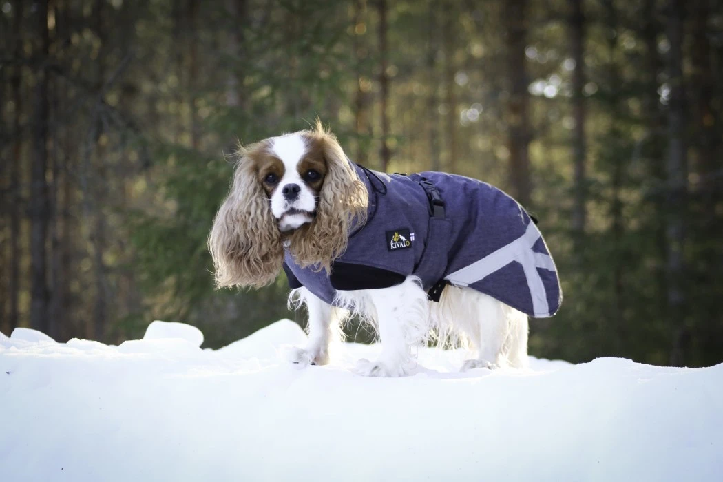 Kivalo Luosto Dog Winter Jacket Koiran Talvitakki, 35 Cm, Harmaa 9 Kivalo Luosto Dog Winter Jacket Koiran Talvitakki, 35 Cm, Harmaa - Image 7