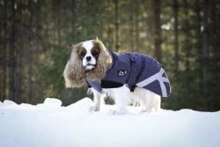 Kivalo Luosto Dog Winter Jacket Koiran Talvitakki, 60 Cm, Harmaa -Hurtta myymälä kivalo luosto dog winter jacket coil 60 cm 1 6