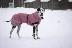 Kivalo Luosto Dog Winter Jacket Koiran Talvitakki, 50 Cm, Pinkki -Hurtta myymälä kivalo luosto dog winter jacket pink 50 cm 1 4