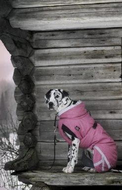 Kivalo Luosto Dog Winter Jacket Koiran Talvitakki, 50 Cm, Pinkki -Hurtta myymälä kivalo luosto dog winter jacket pink 50 cm 1 6