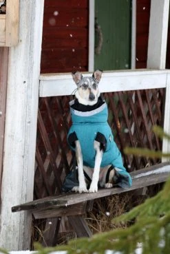 Kivalo Luosto Dog Winter Jacket Koiran Talvitakki, 35 Cm, Petrooli -Hurtta myymälä kivalo luosto dog winter jacket stream 35 cm 1 8