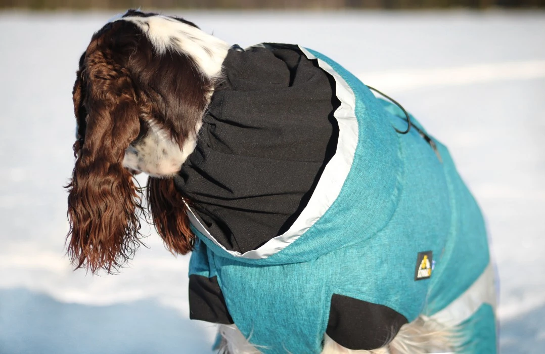 Kivalo Luosto Dog Winter Jacket Koiran Talvitakki, 40 Cm, Petrooli 10 Kivalo Luosto Dog Winter Jacket Koiran Talvitakki, 40 Cm, Petrooli - Image 8