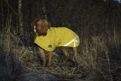 Kivalo Niva Dog Raincoat Koiran Sadetakki, 40 Cm, Keltainen -Hurtta myymälä kivalo niva dog raincoat buttercup 40 cm 1 3