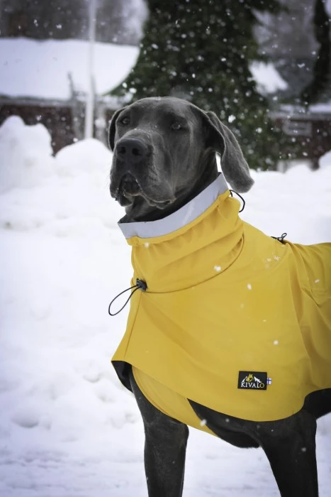 Kivalo Niva Dog Raincoat Koiran Sadetakki, 45 Cm, Keltainen 8 Kivalo Niva Dog Raincoat Koiran Sadetakki, 45 Cm, Keltainen - Image 6