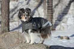 Kivalo Niva Dog Raincoat Koiran Sadetakki, 45 Cm, Harmaa -Hurtta myymälä kivalo niva dog raincoat rock 45 cm 1 6