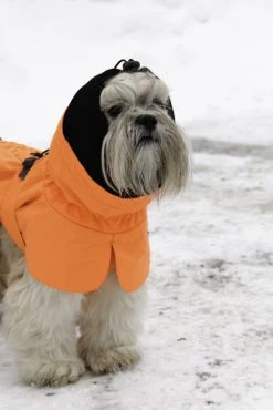 Kivalo Ohto Dog Wind Jacket Koiran Tuulitakki, 35 Cm, Oranssi -Hurtta myymälä kivalo ohto dog wind jacket grid 35 cm 1 7