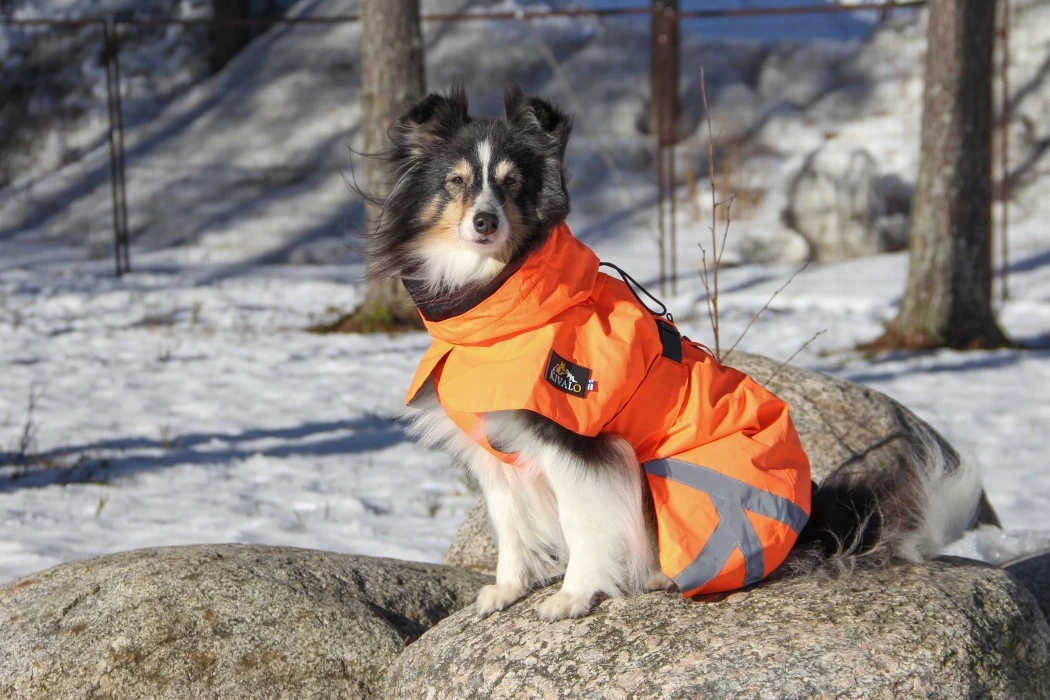 Kivalo Ohto Dog Wind Jacket Koiran Tuulitakki, 40 Cm, Oranssi 9 Kivalo Ohto Dog Wind Jacket Koiran Tuulitakki, 40 Cm, Oranssi - Image 7