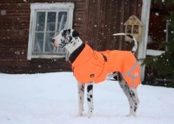 Kivalo Ohto Dog Wind Jacket Koiran Tuulitakki, 55 Cm, Oranssi -Hurtta myymälä kivalo ohto dog wind jacket grid 55 cm 1 4