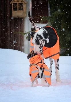 Kivalo Ohto Dog Wind Jacket Koiran Tuulitakki, 55 Cm, Oranssi -Hurtta myymälä kivalo ohto dog wind jacket grid 55 cm 1 5