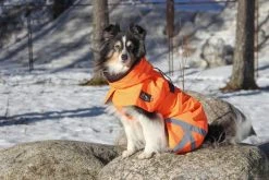 Kivalo Ohto Dog Wind Jacket Koiran Tuulitakki, 55 Cm, Oranssi -Hurtta myymälä kivalo ohto dog wind jacket grid 55 cm 1 6