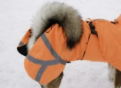 Kivalo Ohto Dog Wind Jacket Koiran Tuulitakki, 55 Cm, Oranssi -Hurtta myymälä kivalo ohto dog wind jacket grid 55 cm 1 9