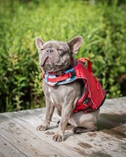 Kurgo Life Jacket Surf N Turf Koiran Pelastusliivi, Punainen (2021) -Hurtta myymälä kurgo life jacket surf n turf red 2021 4