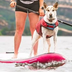 Kurgo Life Jacket Surf N Turf Koiran Pelastusliivi, Punainen (2021) -Hurtta myymälä kurgo life jacket surf n turf red 2021 5