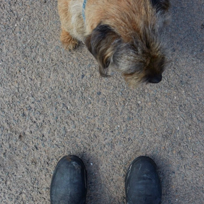 Muck Boot Excursion Ankle Musta 10 Muck Boot Excursion Ankle Musta - Image 8