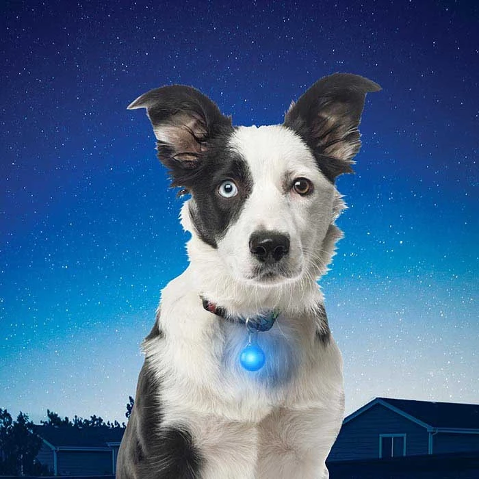 Nite Ize SpotLit Collar Light - Red 6 Nite Ize SpotLit Collar Light - Red - Image 4