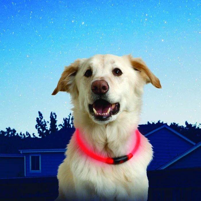 Nite Ize NiteHowl™ LED Safety Dog Necklace - Punainen 5 Nite Ize NiteHowl™ LED Safety Dog Necklace - Punainen - Image 3