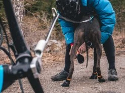 Non-stop Dogwear Protector Koirantossut, 4kpl XL -Hurtta myymälä non stop dogwear protector bootie 4kpl xl 3