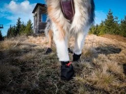 Non-stop Dogwear Solid Socks, 4 Kpl L -Hurtta myymälä non stop dogwear solid socks 4 kpl l 1